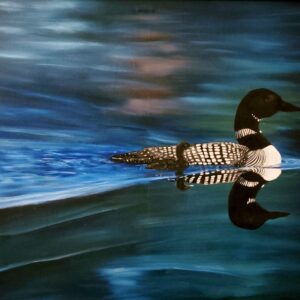 A mother loon and her single loonlet, swimming in a blue lake.